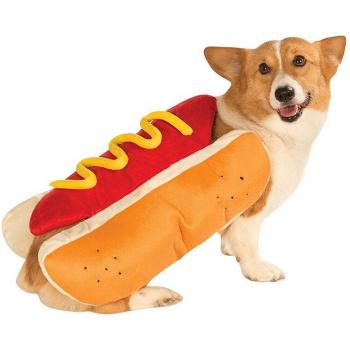 Costumes for Dogs and Cats
