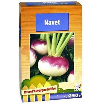 Navet Rave d'Auvergne Semi-Fourragère 250 g (Vilmorin)