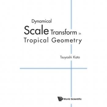 DYNAMICAL SCALE TRANSFORM IN TROPICAL GEOMETRY