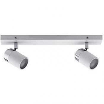 Zyli 2-Bulb Downlight Fixture