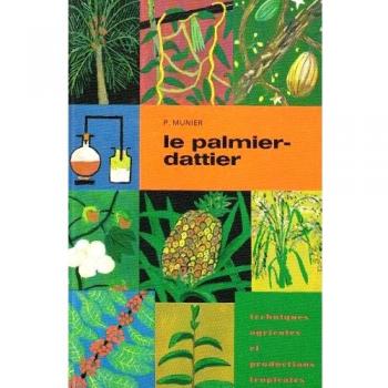Le palmier-dattier