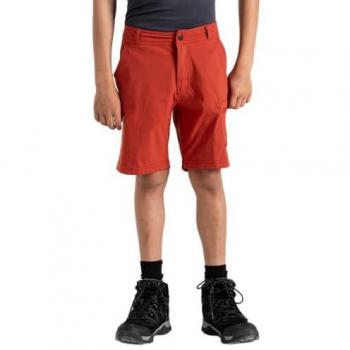 Pantaloni Corti Asciugatura Rapida Dare2b Reprise II