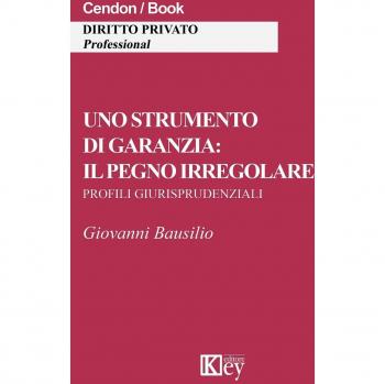 Uno strumento di garanzia. Il pegno irregolare. Profili giurisprudenziali
