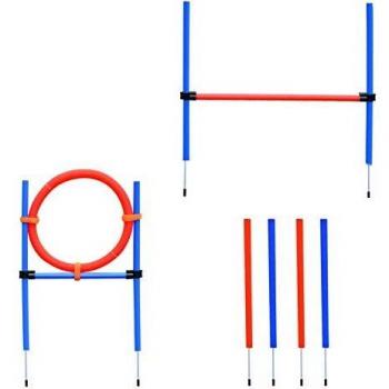 Pawhut Agility sport pour chiens équipement complet obstacles et entrainement 11 pièces avec sac de transport acier rouge et bleu