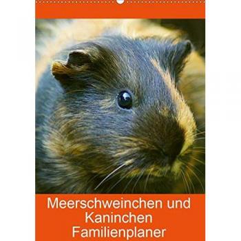Meerschweinchen und Kaninchen Familienplaner