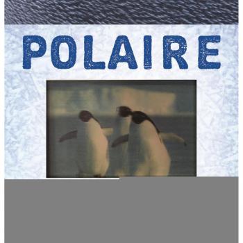 Polaire