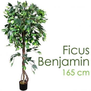 Ficus Benjamina Faux Arbre 165cm avec Base en Bois
