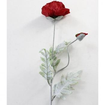 Red Poppy Branch