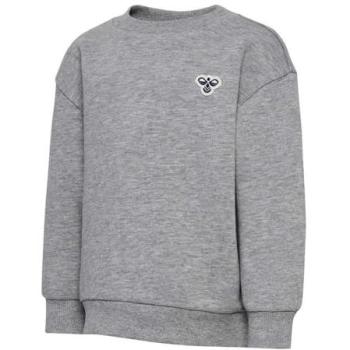 Hummel “Mini Bee” Kids’ Hoodie – Loose Grey, Age 4