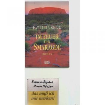 Im Feuer der Smaragde: Roman (Allgemeine Reihe. Bastei Lübbe Taschenbücher)