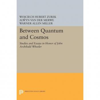Between Quantum and Cosmos