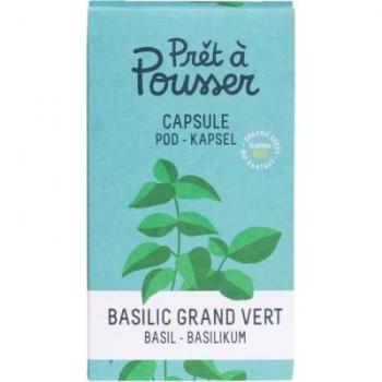 Basilic Grand Vert – Pack Tout-en-Un