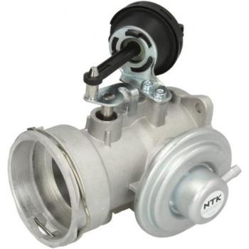 EGP0N071 Exhaust Gas Recirculation Valve