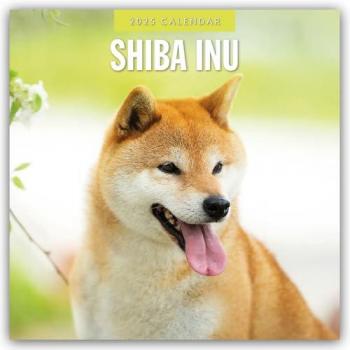Shiba Inu 2025
