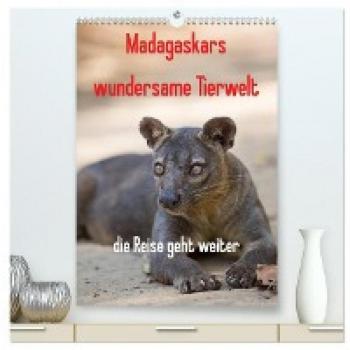 Premium Wandkalender 2024 Madagaskars wundersame Tierwelt