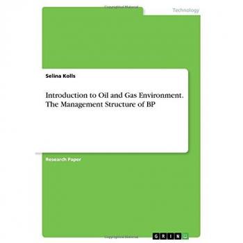 Introduction to Oil and Gas Environment. The Management Structure of BP
