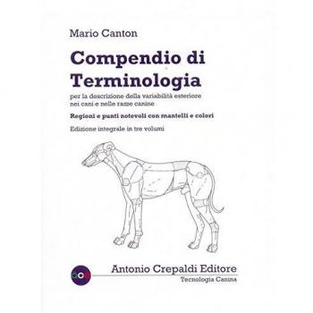 Libri Mario Canton