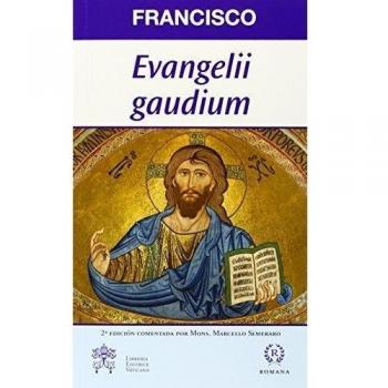 Evangelii gaudium. Exhortación apostólica.