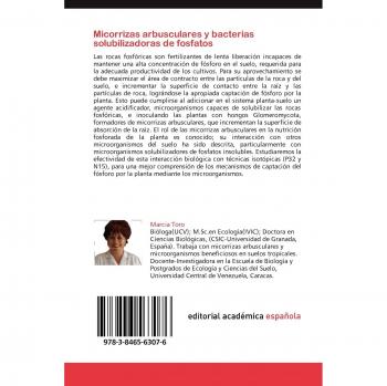 Micorrizas arbusculares y bacterias solubilizadoras de fosfatos: Evaluación de su efectividad en el uso de rocas fosfóricas mediante técnicas isotópicas