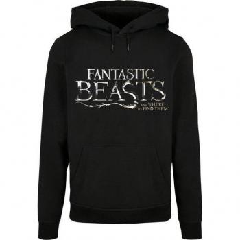 Kapuzenpullover Fantastic Beasts F4NT4STIC für Herren