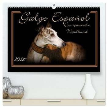 Galgo Español 2025