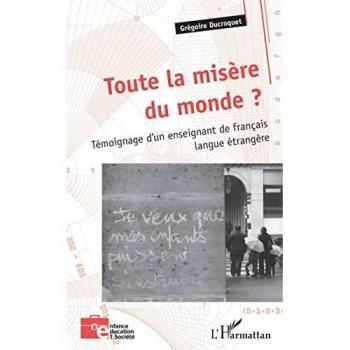 Toute la misère du monde ?: Témoignage d'un enseignant de français langue étrangère