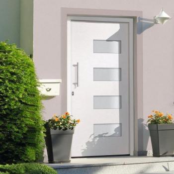 Acceso Blanco AluPVC 110x210 cm