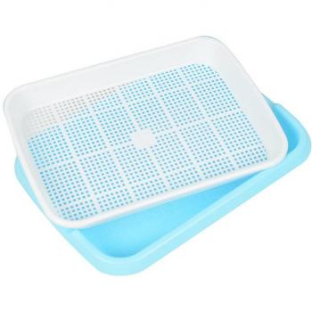 Vegetable Seedling Grow Tray