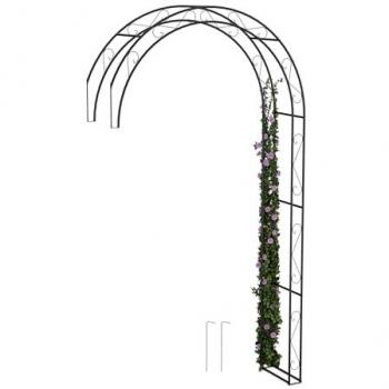 Sostegno per Piante Rampicanti 245x130 cm