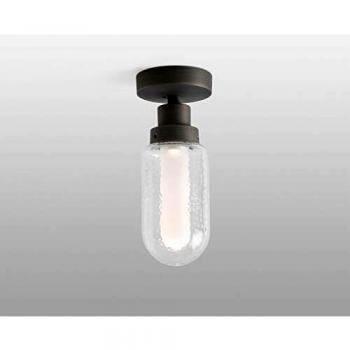 Netlighting Brume Bathroom LED Ceiling Lamp Metallic Grey 3W 2700K