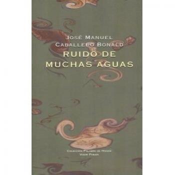 Ruido de muchas aguas