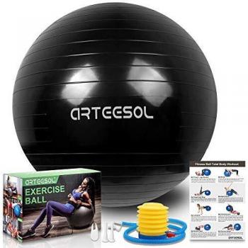 Arteesol Gym Ball for Home Exercise 55cm