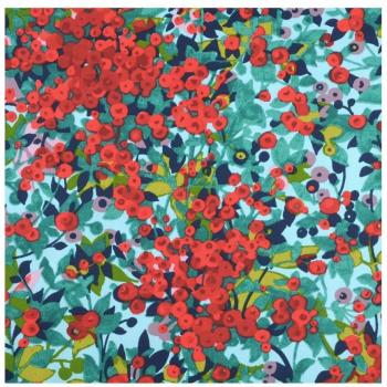 Coton Enduit Rouge Capucine