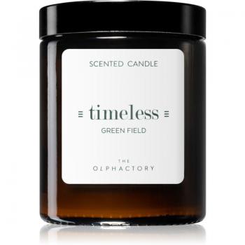 Ambientair Timeless Green Field Scented Candle 135 g