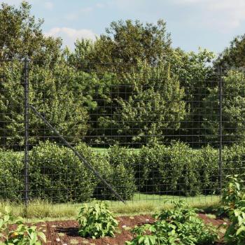 Prolenta Premium – Clôture Treillis Métallique Anthracite 1,4×10 m