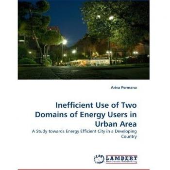 Inefficient Use of Two Domains of Energy Users in Urban Area: A Study towards Energy Efficient City in a Developing Country