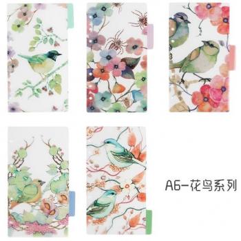 Assorted Design Plastic Binder Index Dividers