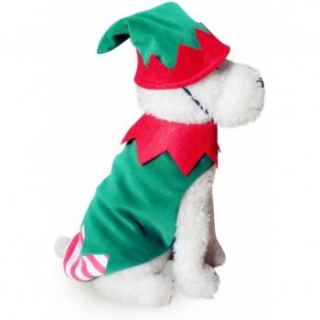 Gilet BDTHOOO chaud pour chiens, chats, chiots