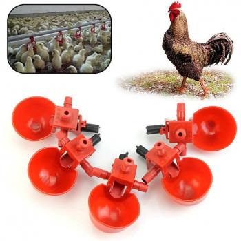 5Pcs Automatic Bird Watering Cups