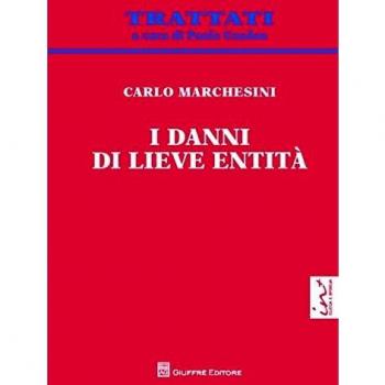 Danni Di Lieve Entita'