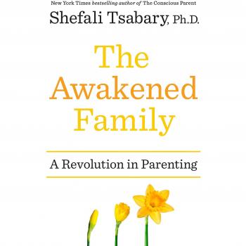 The Awakened Family: A Revolution in Parenting