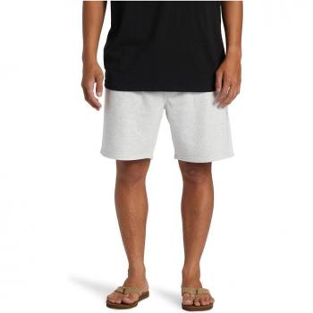 Pantalón corto de surf Quiksilver Salt Water