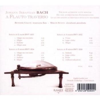 Flauto Traverso Professionale