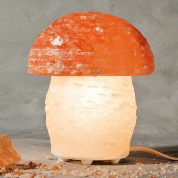 Wagner Life Organic Mushroom Salt Light