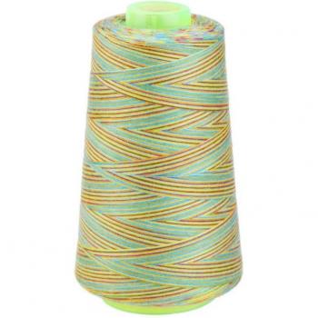 1 Roll of Rainbow Embroidery Yarn