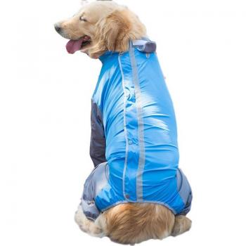 Mono Humanoide para Border Collie