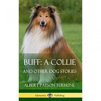 Buff; A Collie