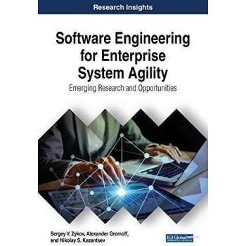Software engineering for enterprise system agility hardcover