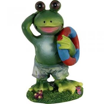 Zolux Décoration d’Aquarium Petit Amphibiens