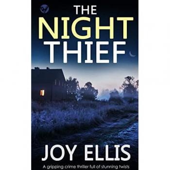 THE NIGHT THIEF a gripping crime thriller full of stunning twists